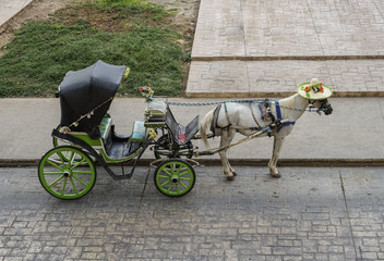 mexican carriages