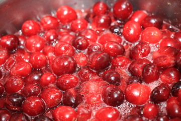 Homemade cranberry sauce