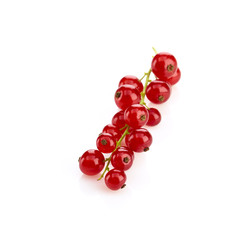 Johannisbeeren