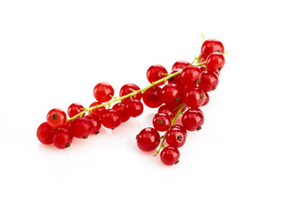 Johannisbeeren