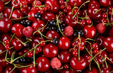 Mature berries on a wooden table