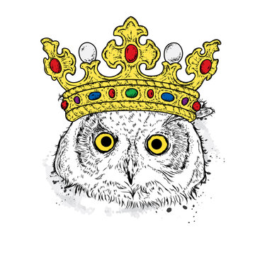 Funny owl in a beautiful golden crown. Bird. Vector illustration for a postcard or a poster, print on clothes. Fashion & Style.