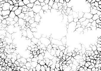 Obraz premium Cracks and lighting or networks of roots on white background. Abstract texture design.