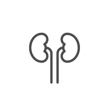 Kidneys line icon