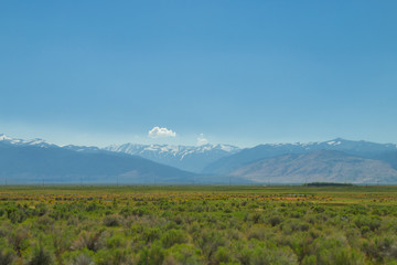 beautiful spring landscape of  a watery meadow.