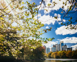 Spring in the City