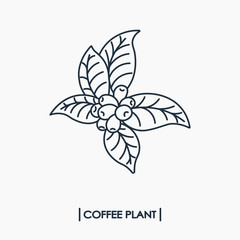 Line icon coffee plant with leaf and beans