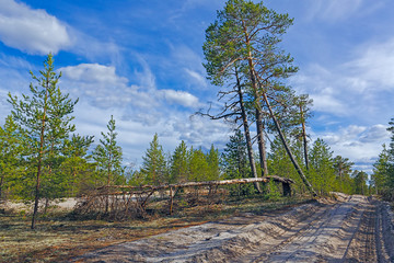 Fototapety na wymiar - Fototapeta24.pl