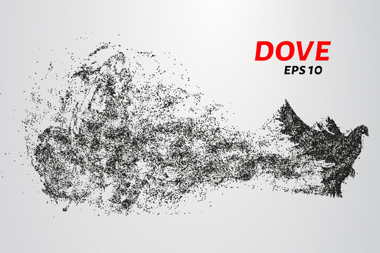 The dove of the particles. Dove consists of small circles and dots.