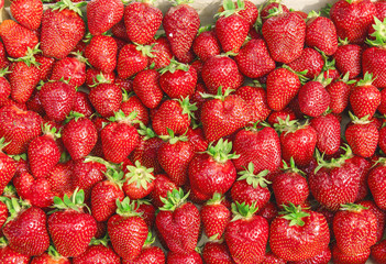 Tasty and delicious red strawberry on beautiful sunny day