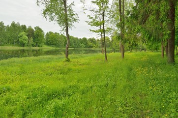 The natural landscape in the spring.
