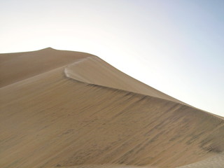 desert landscape