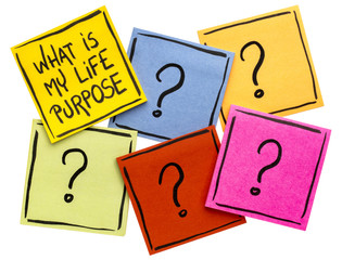 What is my life purpose?