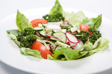 Salad with tomatoes and cucumbers, radishes on the plate