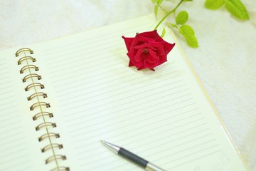 Naklejka premium Letter to you