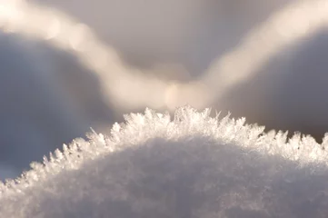 Foto auf Leinwand sneeuw met ijskristallen © twanwiermans