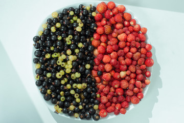 Fresh currant and strawberry lined on a plate on a white background