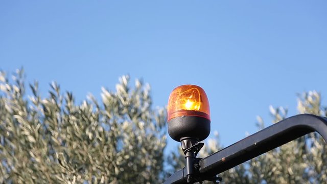 gyrophare de tracteur dans un verger d'oliviers