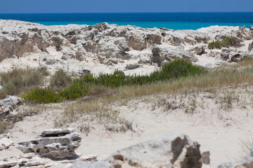 Stones in Formentera beach