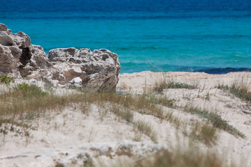 In Ses Illetes beach