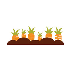 Carrot cultivation isolated icon vector illustration design