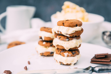 Homemade Chocolate chip ice cream cookies