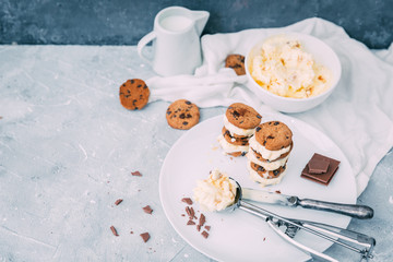 Homemade Chocolate chip ice cream cookies
