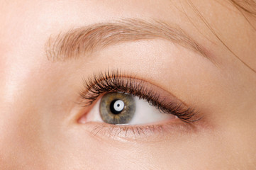 Closeup shot of female eye with day makeup