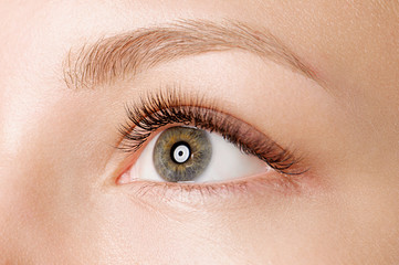 Fototapeta na wymiar Closeup shot of female eye with day makeup