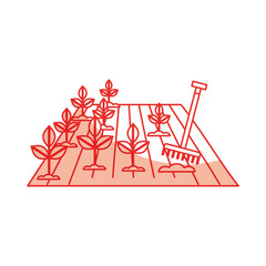 Cultivated plant isolated icon vector illustration design