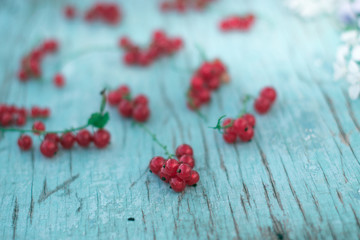 Fototapeta na wymiar Berries of red currant summer vitamins background crop on blue.