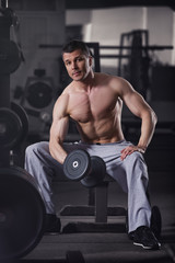 Fototapeta na wymiar Bodybuilder workout with dumbbells in gym, perfect muscular male body