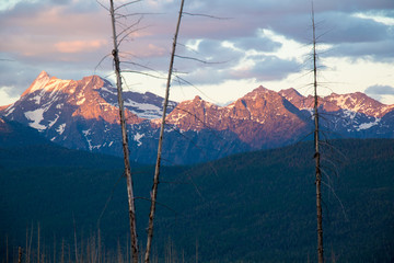 Glacier Nat'l. Park (Montana) mountains/trees at sunset