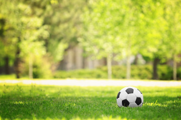Obraz premium Soccer ball on green grass in park