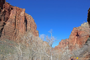 Zion National Park,Utah