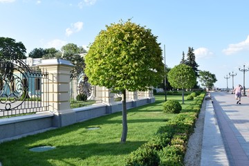 Fototapeta premium garden