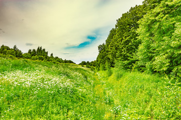 Green meadow with ditch. © serjiob74