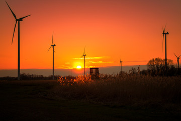 Obraz premium Wind park while sunset