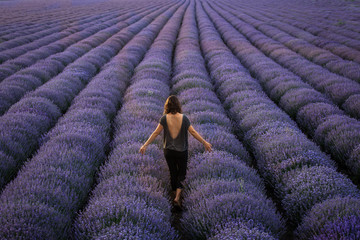 Joyful and happy woman in a beautiful lavander field © danmir12