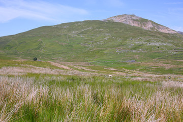 The Snowdonia National Park in Wales, Great Britain