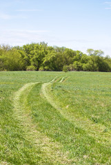 Spring Russian landscape