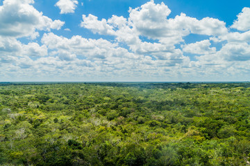 Aerial view of the thick jungle around the ruins of the Mayan city Coba, Mexico