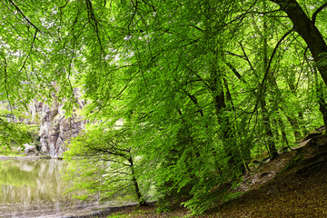 clearing in german forrest lake and rock