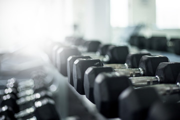 dumbbells in the gym