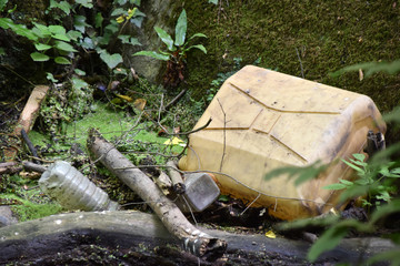 inquinamento nella natura