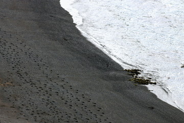 Footprints in the Sand.