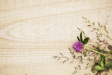 Wild flowers on rustic timber background