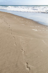 footprints in the sand