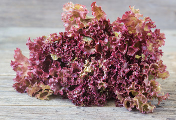 Fresh red lettuce on a wooden background