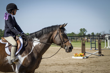 Girl Showing Paint Horse